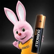 Duracell 24 pack Batteries